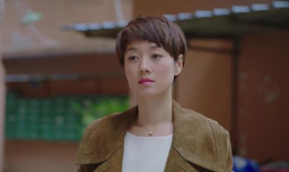 罗子君什么电视剧,从家庭主妇到职场女王的逆袭之路